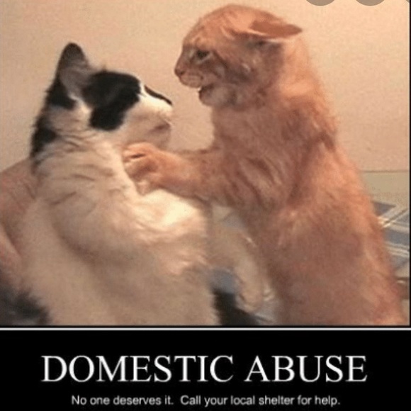 Raise Awareness Women Domestic Violence